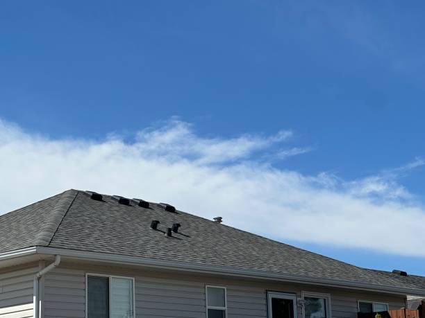 Best Metal Roofing Installation  in Whippany, NJ